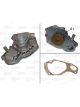Valeo Water Pump w/o Belt Pulley with Gaskets/Seals