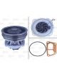 Valeo Water Pump Engine Cooling