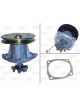 Valeo Water Pump w/o Cover with Belt Pulley