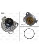 Valeo Water Pump