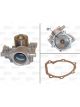 Valeo Water Pump Engine Cooling