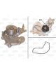 Valeo Water Pump