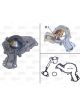 Valeo Water Pump