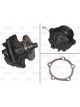 Valeo Water Pump