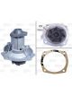 Valeo Water Pump Engine Cooling