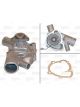 Valeo Water Pump Engine Cooling