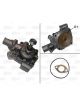 Valeo Water Pump Engine Cooling