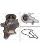 Valeo Water Pump