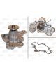Valeo Water Pump