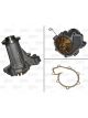 Valeo Water Pump Engine Cooling