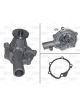 Valeo Water Pump