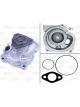 Valeo Water Pump Engine Cooling
