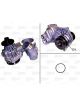 Valeo Water Pump
