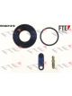 Valeo FTE Brake Caliper Repair Kit