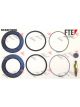 Valeo FTE Brake Caliper Repair Kit