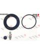 Valeo FTE Brake Caliper Repair Kit