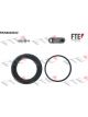 Valeo FTE Brake Caliper Repair Kit