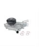 US Motor Works Aluminum Mechanical Water Pump Natural