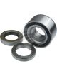 Basco Wheel Bearing Kit