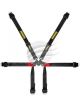 Schroth Racing Formula Harness 2X2 Black