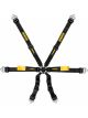 Schroth Racing Enduro Harness 2X2 Univ Blk Fhr
