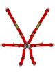 Schroth Racing Flexi 2X2 Harness - Red