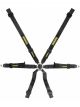 Schroth Racing Profi XLt 2X2 Pull Up Blk