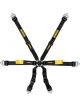 Schroth Racing Enduro Harness 2X2 Porsche 991/981