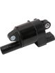 AC Delco Ignition Coil Pack Black