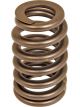 AC Delco Engine Valve Spring Standard Replacement Single