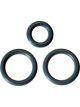 AC Delco Fuel Rail O-Ring Set of 3