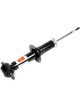 AC Delco GM Genuine Parts Shocks and Struts