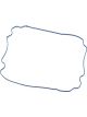 AC Delco Differential Cover Gaskets