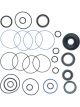 AC Delco Seal Rack and Pinion Shaft Seal For Porsche Kit