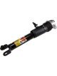 AC Delco Shocks and Struts OE Stock Ride Height Rear For Chevrolet