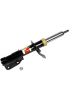 AC Delco Shocks and Struts OE Stock Ride Height Front For Cadillac