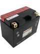 AC Delco Battery Assembly