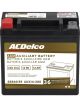 AC Delco Gold Automotive AGM Battery