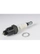 AC Delco Spark Plugs