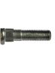Dorman 1/2-20 Serrated Wheel Stud - .582 In. Knurl 2 In. Length
