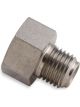 Earls Straight Hardline Adapter Fitting 3/16