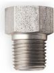 Earls Straight Stainless Fitting Adapter Natural 1/8