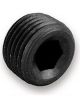 Earls Fitting Plug 3/4