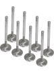Milodon Valves Intake Race 2.19