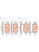TRW Brake Pads