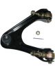 TRW Control/Trailing Arm