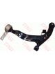 TRW Control/Trailing Arm
