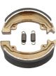 TRW Motorcycle Brake Shoe
