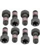 Sachs Flywheel Bolt Kit