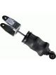 Sachs Shock Absorber